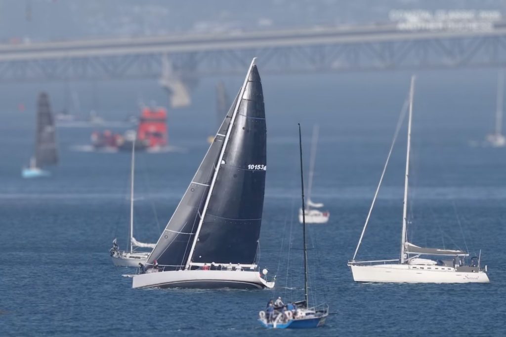 Another Duchess // Photo credit: Roger Mills / Hummingbird